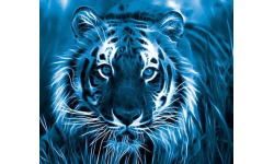 C Годом Водяного Тигра!